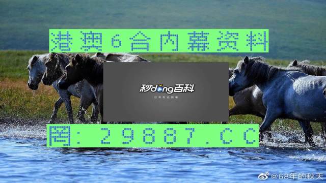 2024澳门买马最准网站|精选解释解析落实专属版180.294273.329