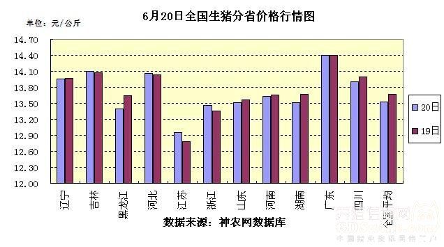 今日猪价最新行情全国分析