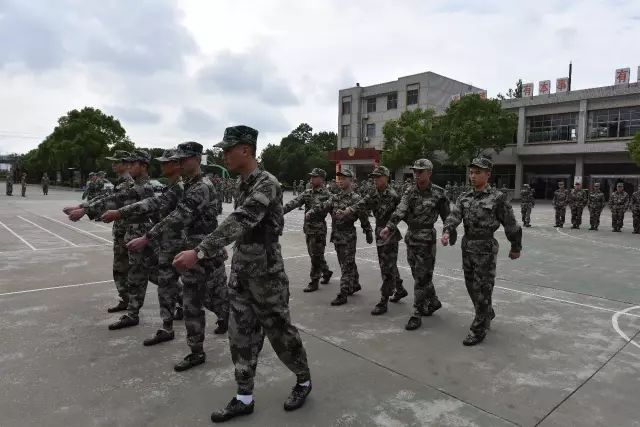 农村兵最新消息，新时代下的新动向与挑战