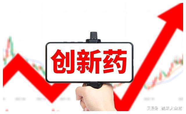 支架降价最新政策，推动行业变革，惠及广大患者