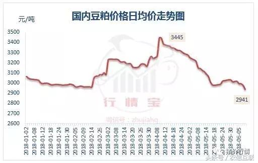 豆柏价格最新行情预测