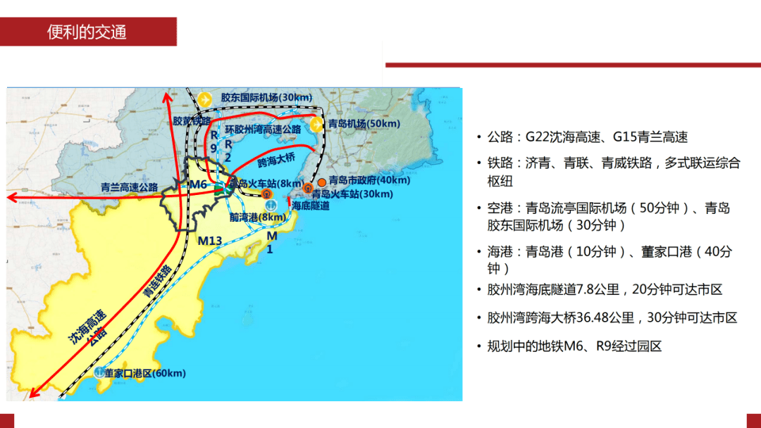 青岛市最新发布，城市发展与政策动向